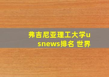 弗吉尼亚理工大学usnews排名 世界